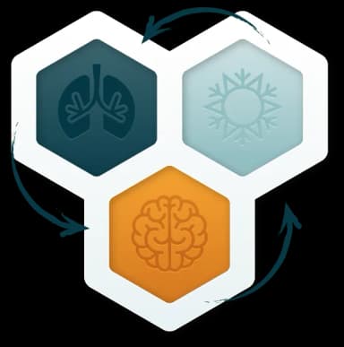 Three Pillars of the Wim Hof Method